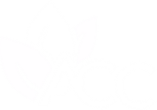 Factores 2x2 Plus