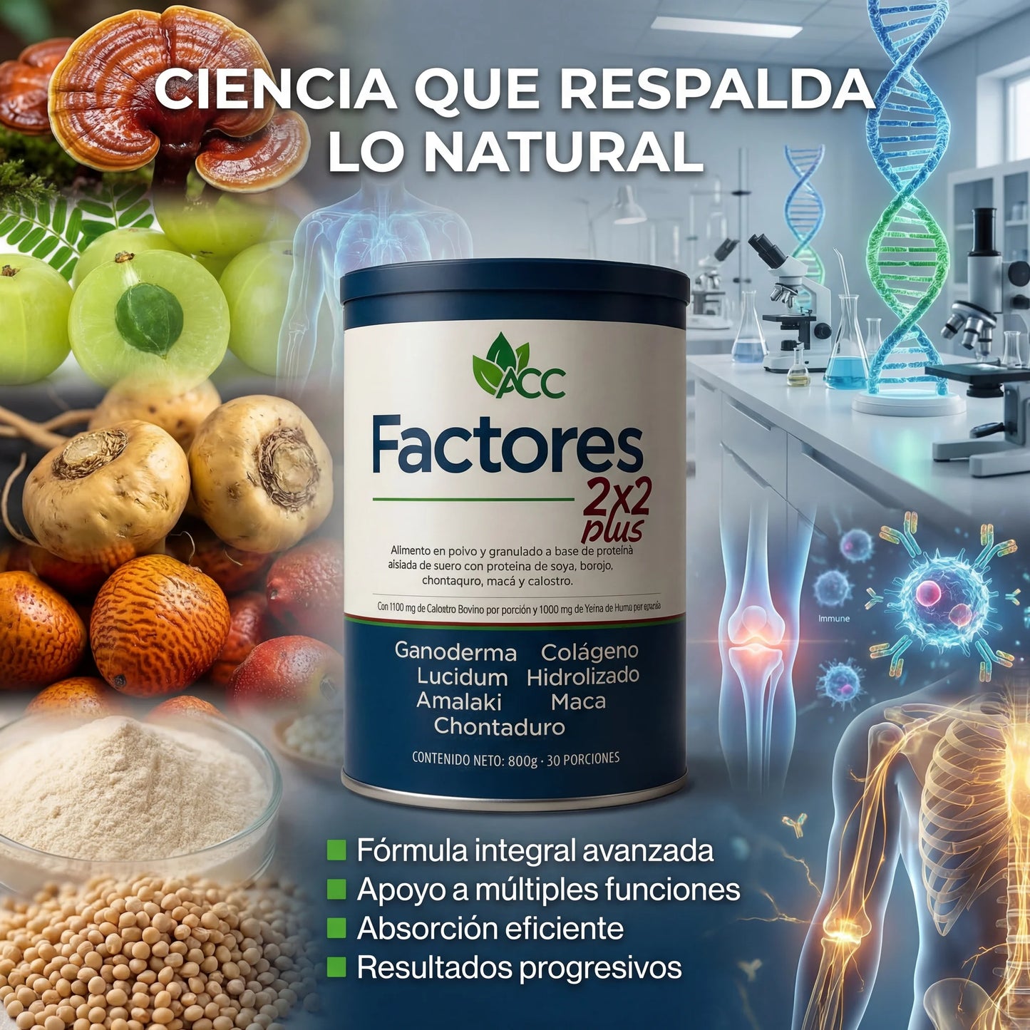 Paga 6 lleva 8 - Factores 2X2 Plus