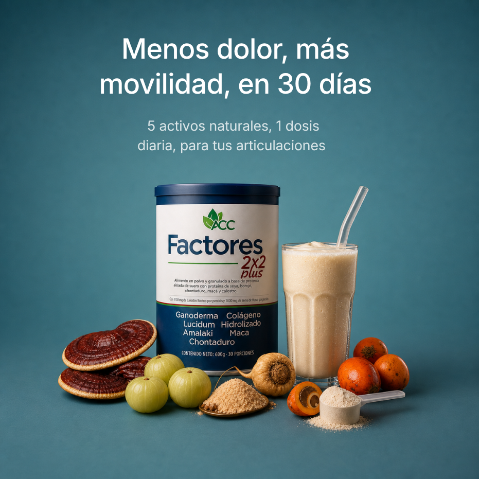 Factores 2X2 Plus