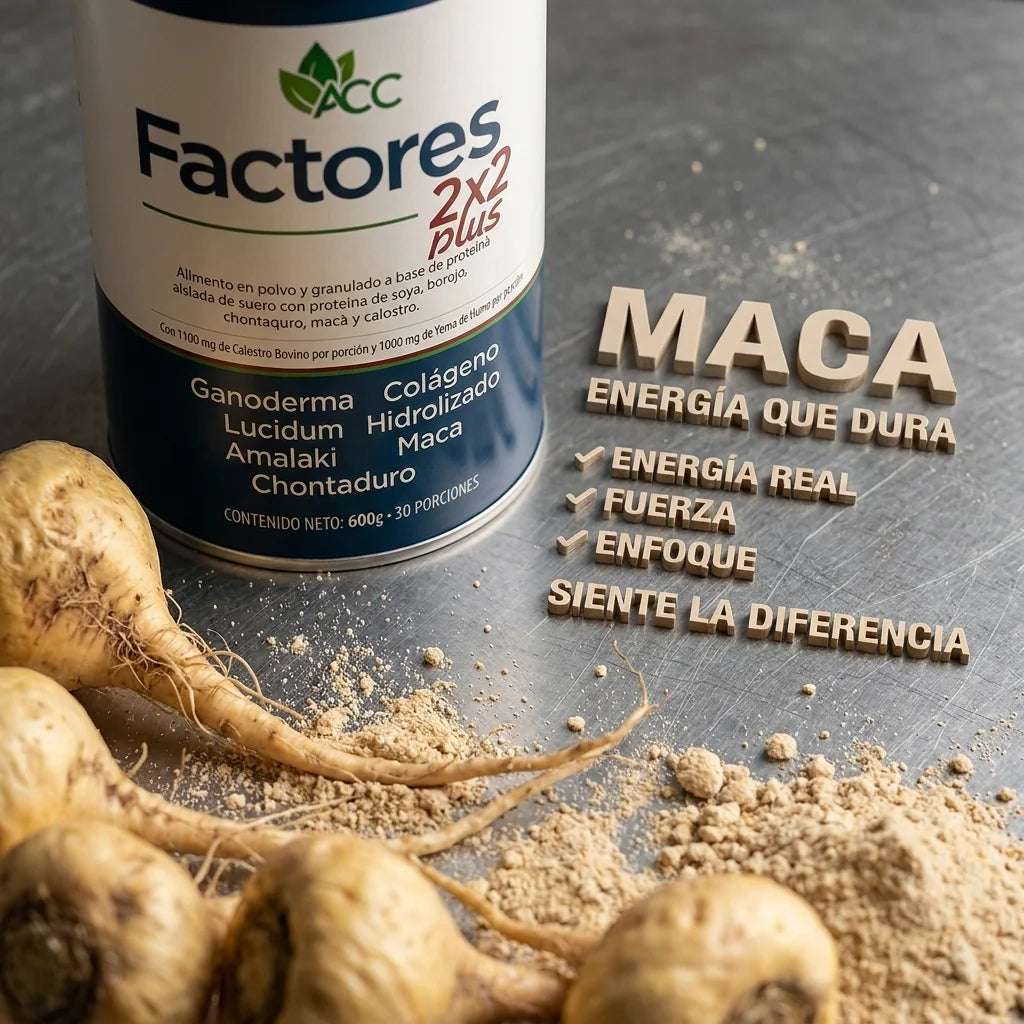 Paga 6 lleva 8 - Factores 2X2 Plus