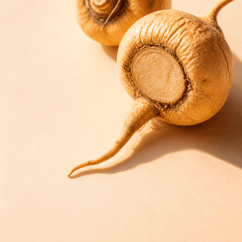 Maca